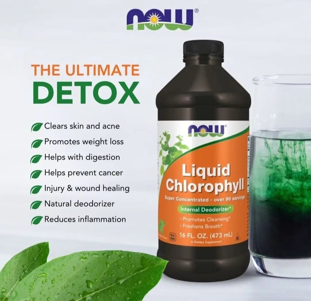 NOW Foods Liquid Chlorophyll, Mint , 16 fl oz (473 ml) - Image 2